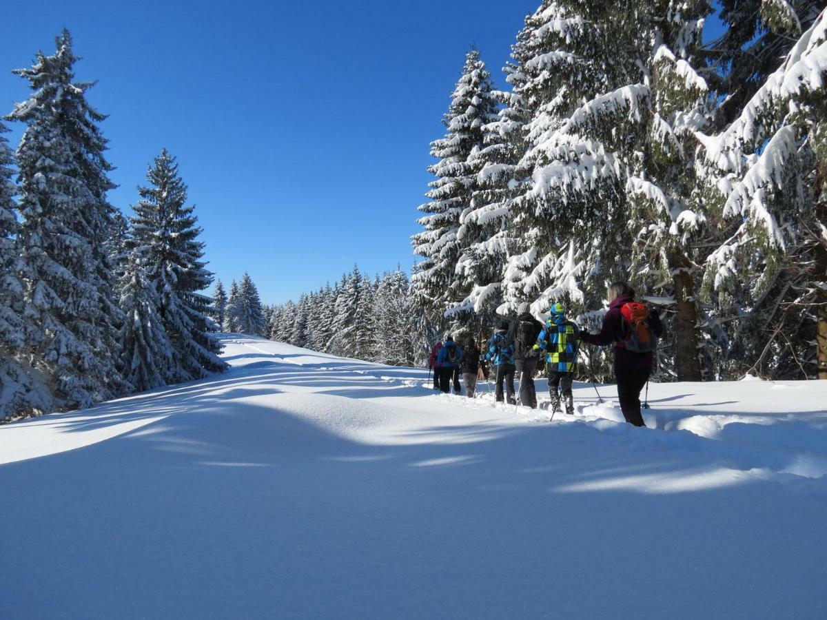 Schoene Einzimmer Wohnung Zwischen Bodensee Und Allgaeu Neukirch  Εξωτερικό φωτογραφία